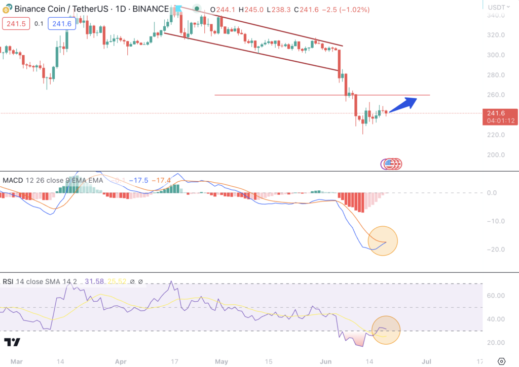 BNB Price and Indicator Chart 19th June 2023