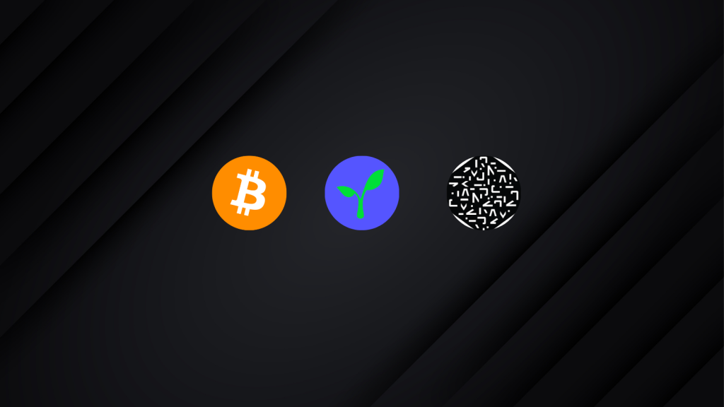 Bitcoin Radicle Numeraire